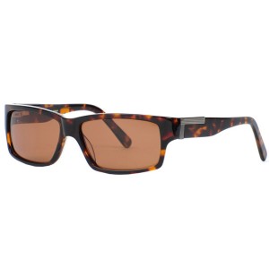 Stetson SU8204P-024 Polarized Brown Lens Tortoise Sunglasses